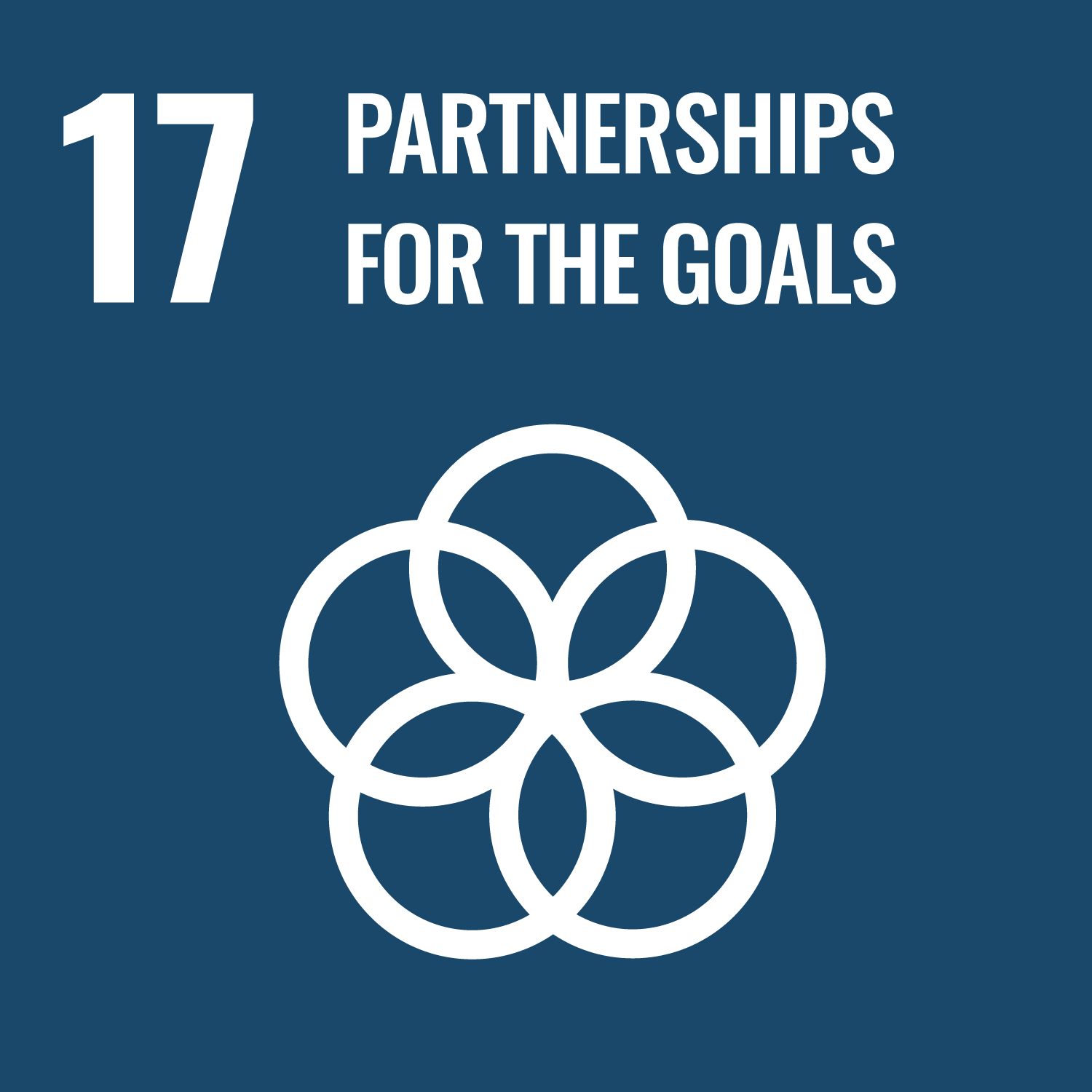 United Nations Sustainable Development Goal 17: Revitalize the global partnership for sustainable development